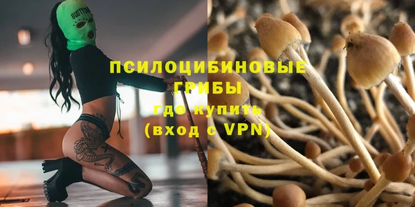прущая мука Верхний Тагил